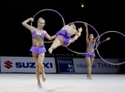 GR ensembles-0016